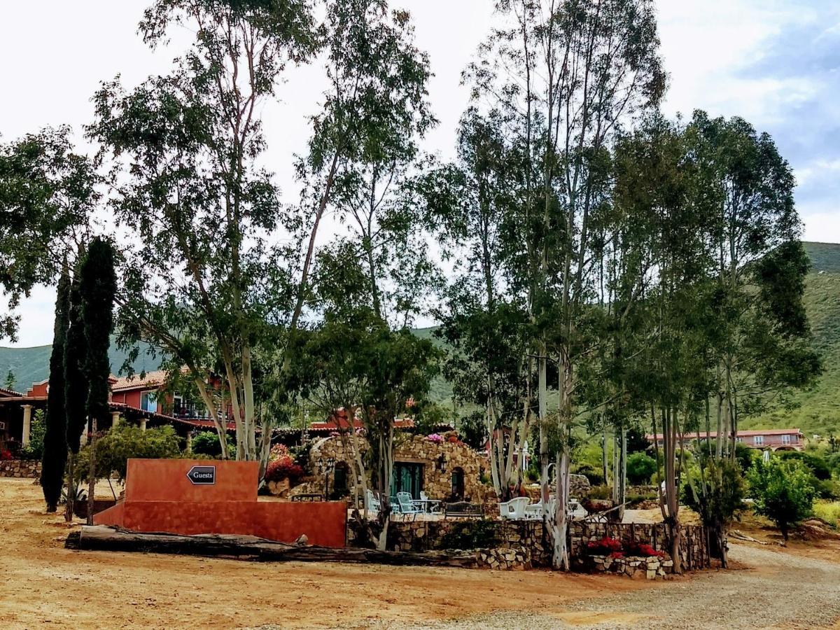 Vina Calabria Bed and Breakfast Valle de Guadalupe Εξωτερικό φωτογραφία