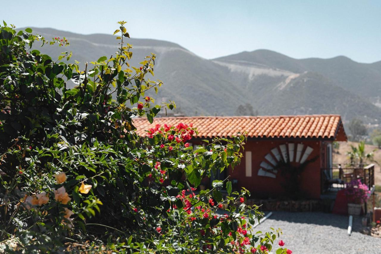 Vina Calabria Bed and Breakfast Valle de Guadalupe Εξωτερικό φωτογραφία