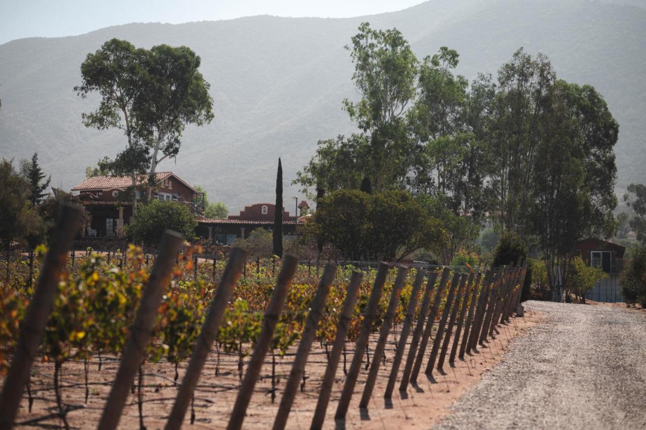 Vina Calabria Bed and Breakfast Valle de Guadalupe Εξωτερικό φωτογραφία