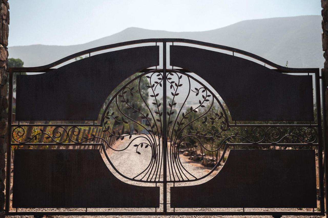 Vina Calabria Bed and Breakfast Valle de Guadalupe Εξωτερικό φωτογραφία