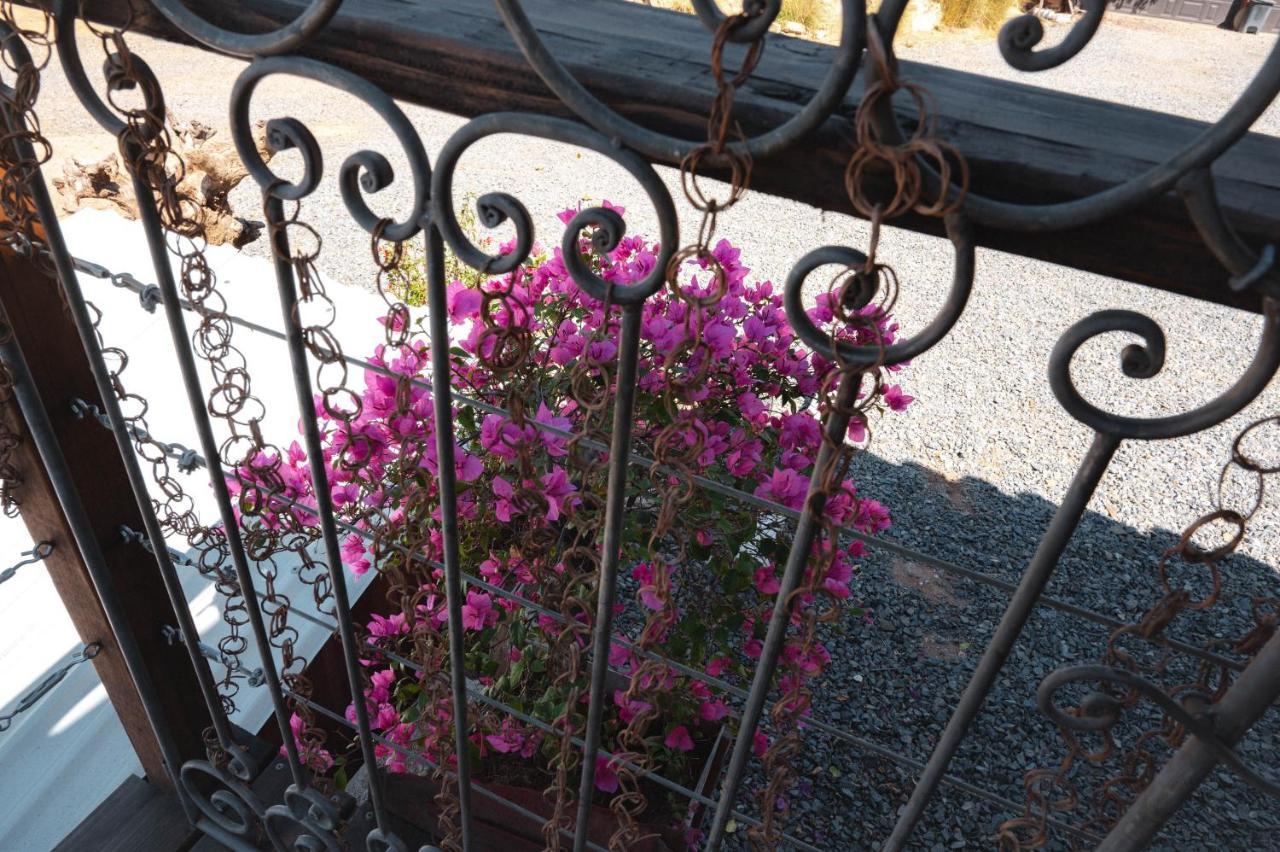 Vina Calabria Bed and Breakfast Valle de Guadalupe Εξωτερικό φωτογραφία