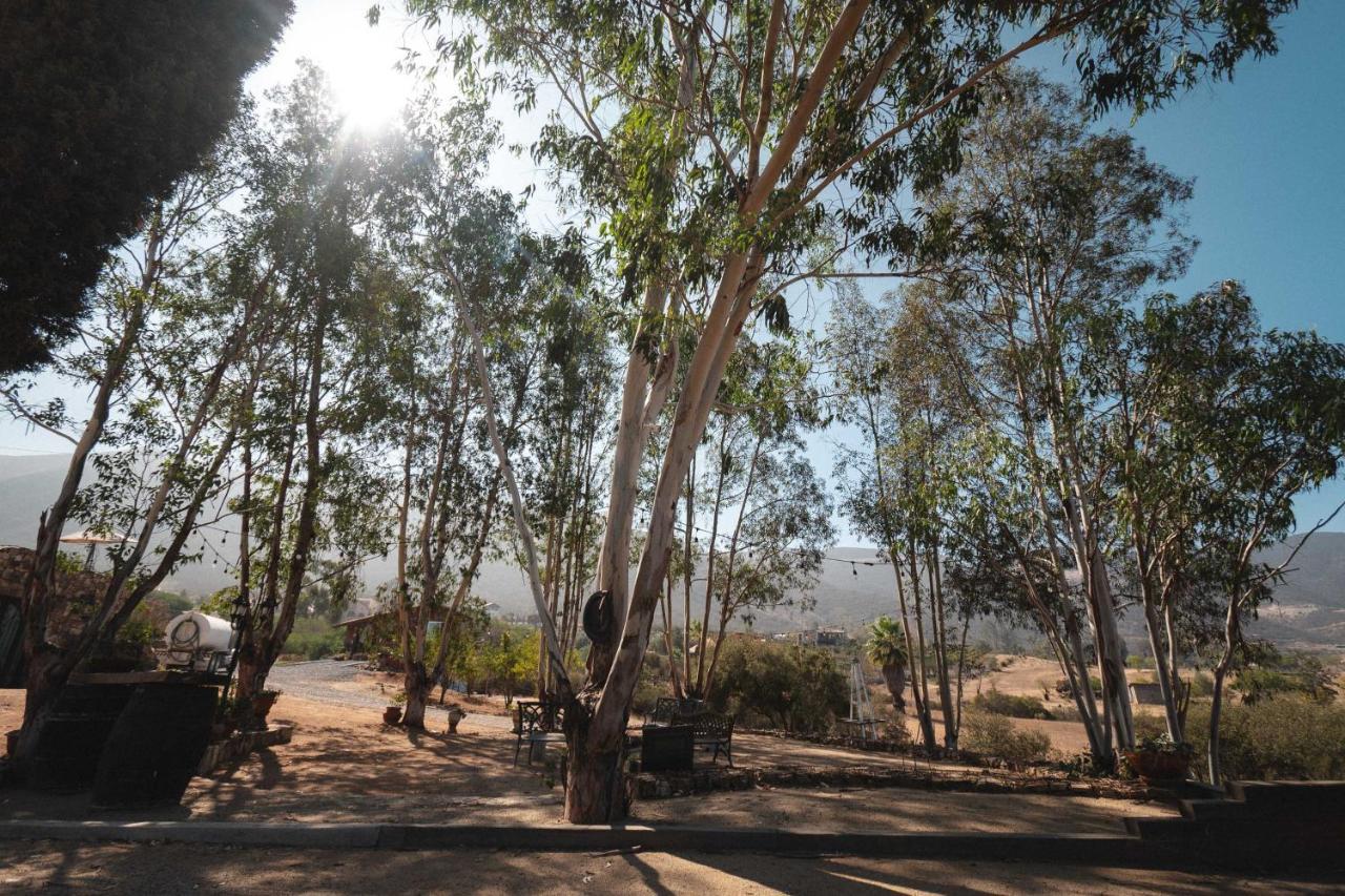 Vina Calabria Bed and Breakfast Valle de Guadalupe Εξωτερικό φωτογραφία