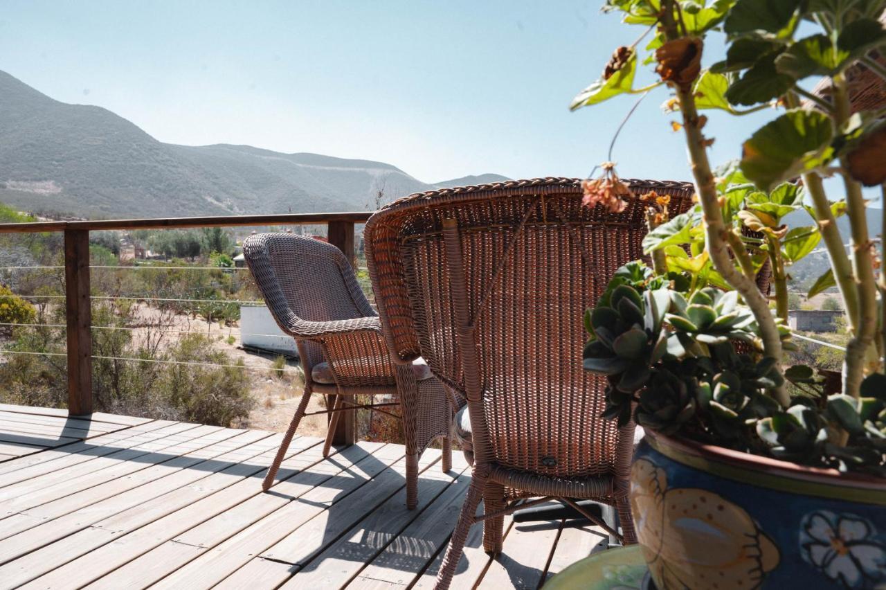 Vina Calabria Bed and Breakfast Valle de Guadalupe Εξωτερικό φωτογραφία