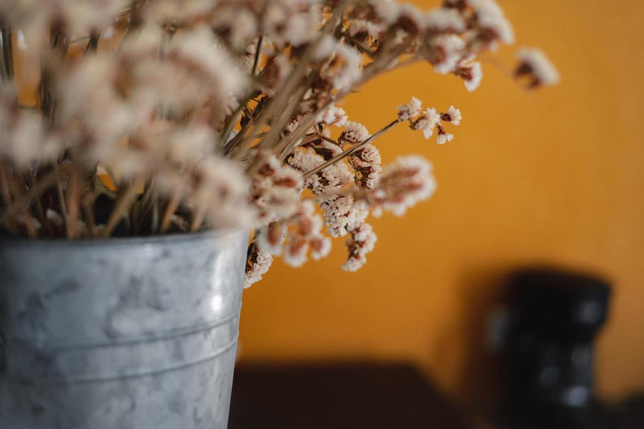 Vina Calabria Bed and Breakfast Valle de Guadalupe Εξωτερικό φωτογραφία