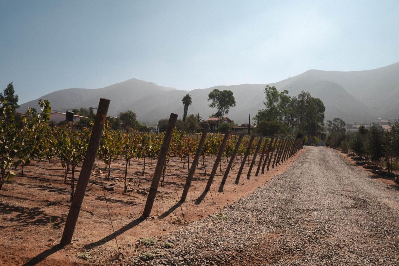 Vina Calabria Bed and Breakfast Valle de Guadalupe Εξωτερικό φωτογραφία