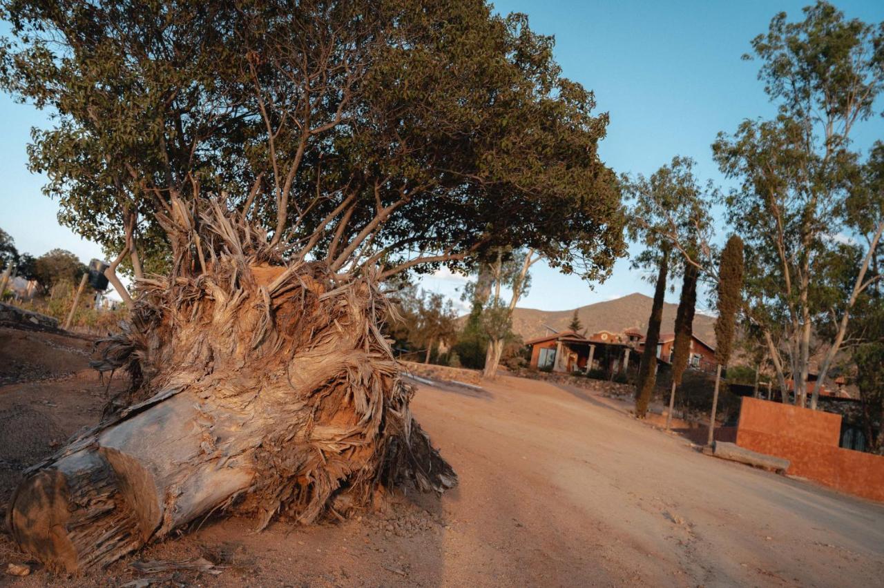 Vina Calabria Bed and Breakfast Valle de Guadalupe Εξωτερικό φωτογραφία