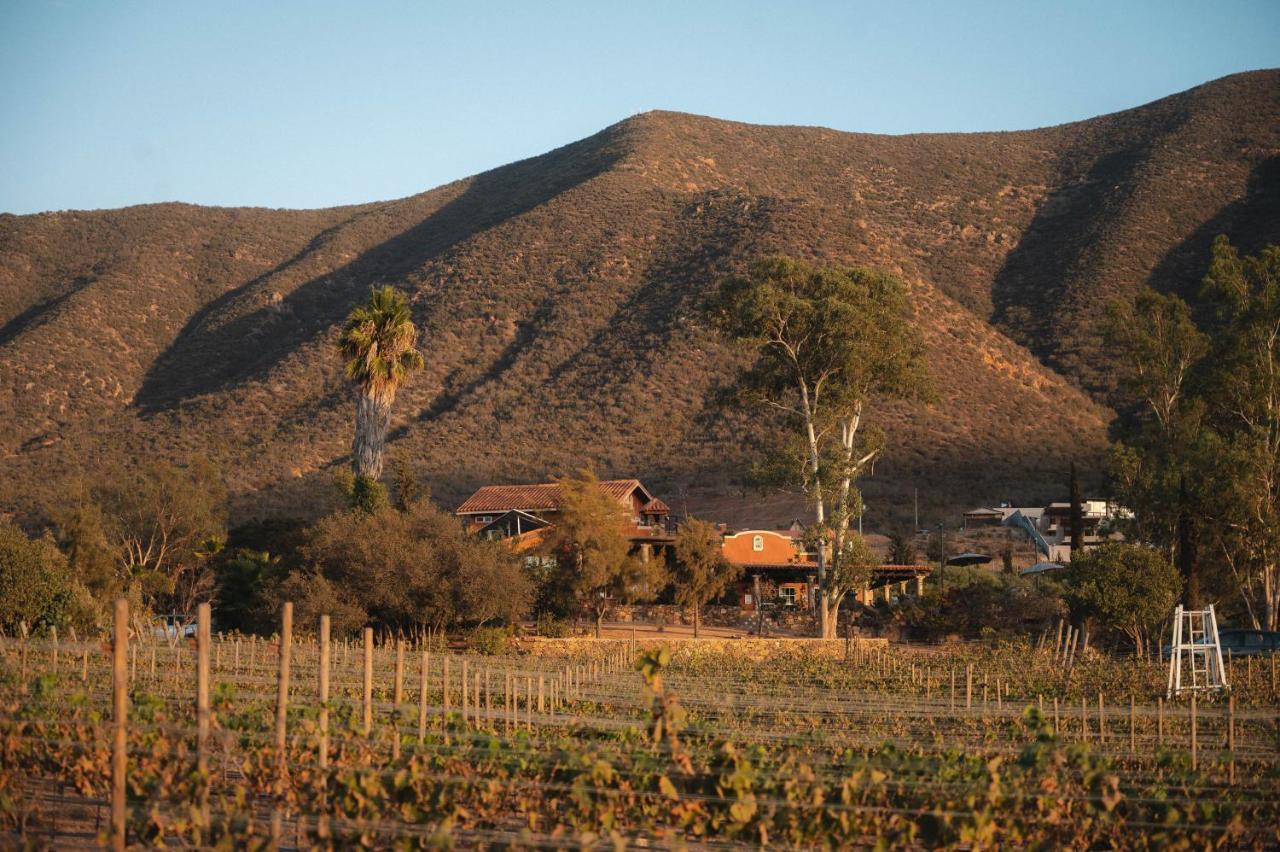 Vina Calabria Bed and Breakfast Valle de Guadalupe Εξωτερικό φωτογραφία